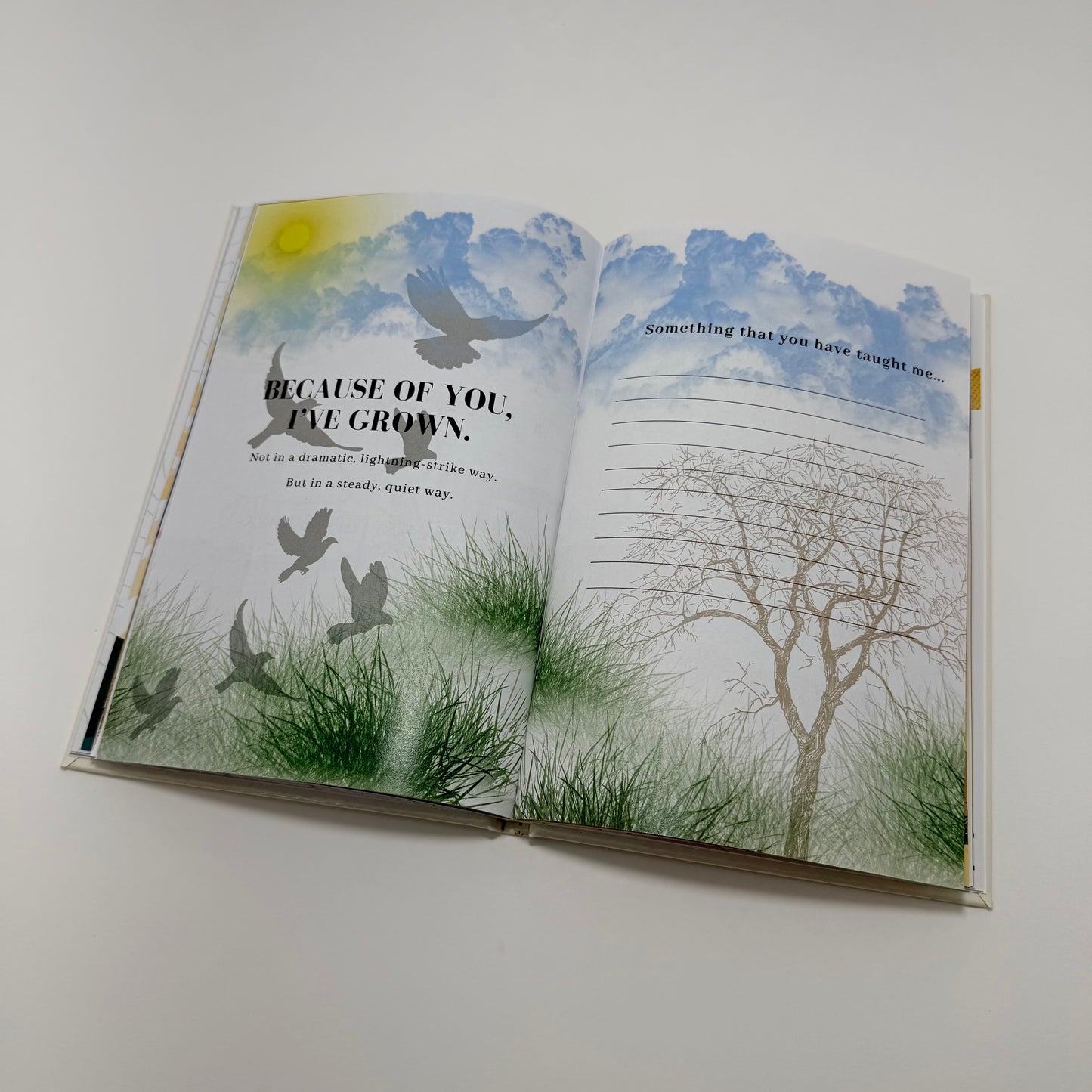 EVERYTHING I LOVE ABOUT YOU: A Heartfelt Fill-in-the-Blank Love Book with Photo Pages & a Surprise Date Night Coupon — Romantic Gifts for Him, Her & Couples